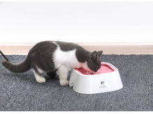Load image into Gallery viewer, Dog Water Bowl Vehicle Carried
